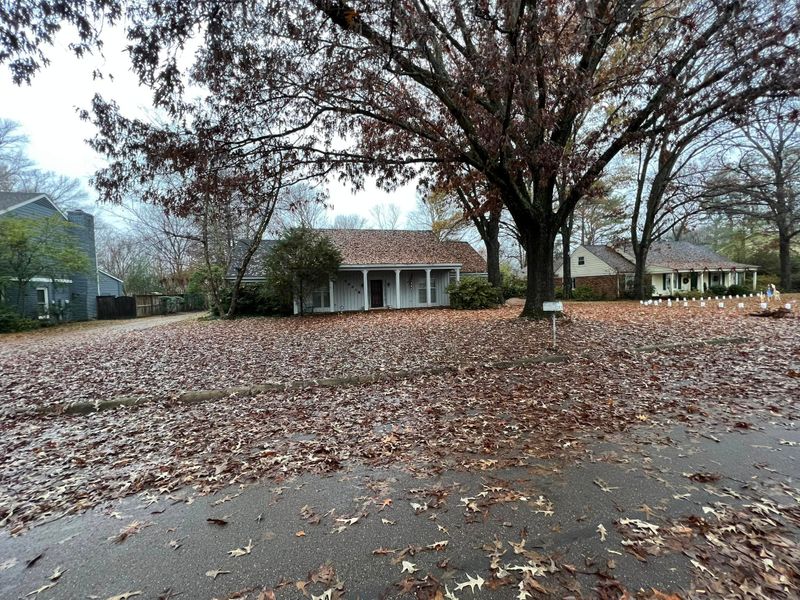 Fall Clean Up