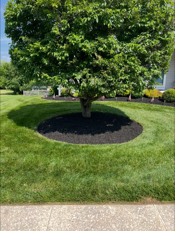 Lawn Maintenance