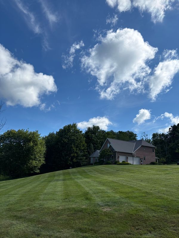 Lawn Maintenance