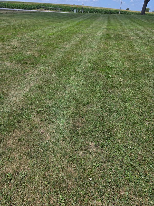 Lawn Care & Maintenance