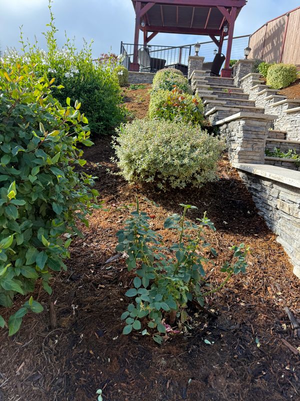 Landscaping