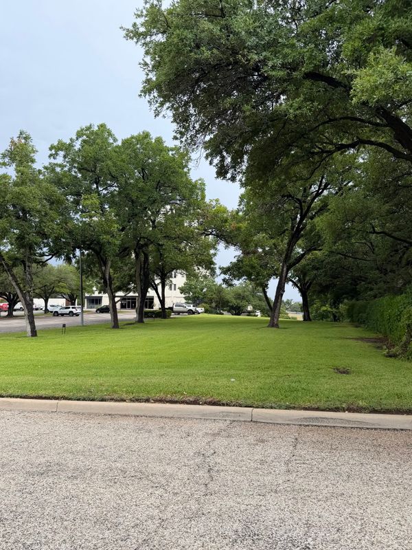 Lawn Maintenance