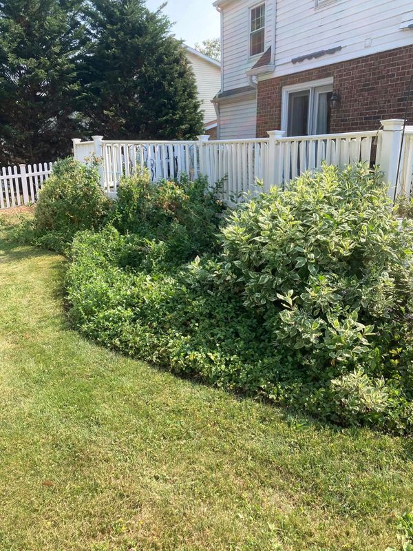 Garden Maintenance
