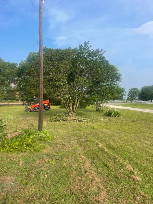 Tree Trimming & Removal gallery