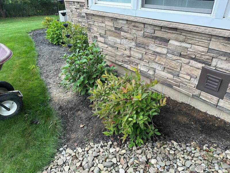 Shrub Trimming