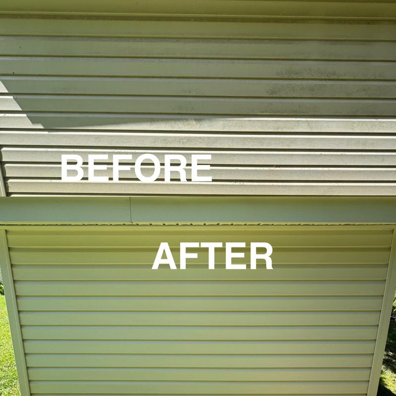 Home Soft Washing