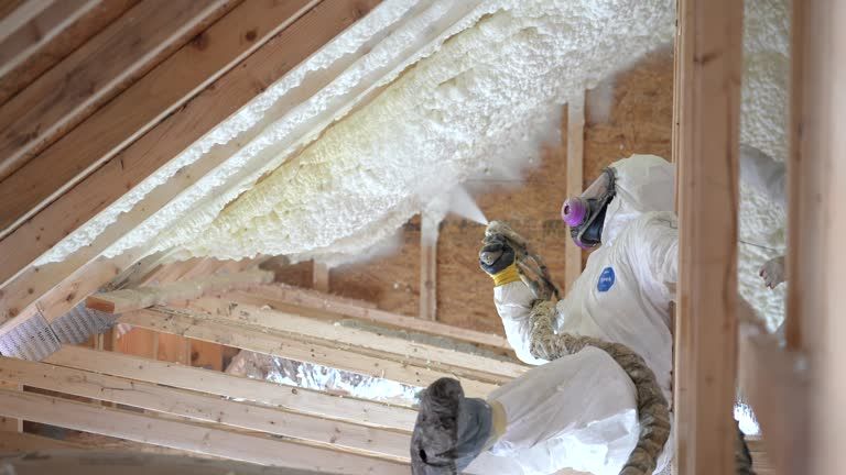 Spray Foam Insulation