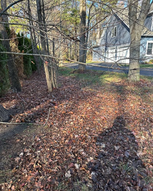 Fall and Spring Clean Up