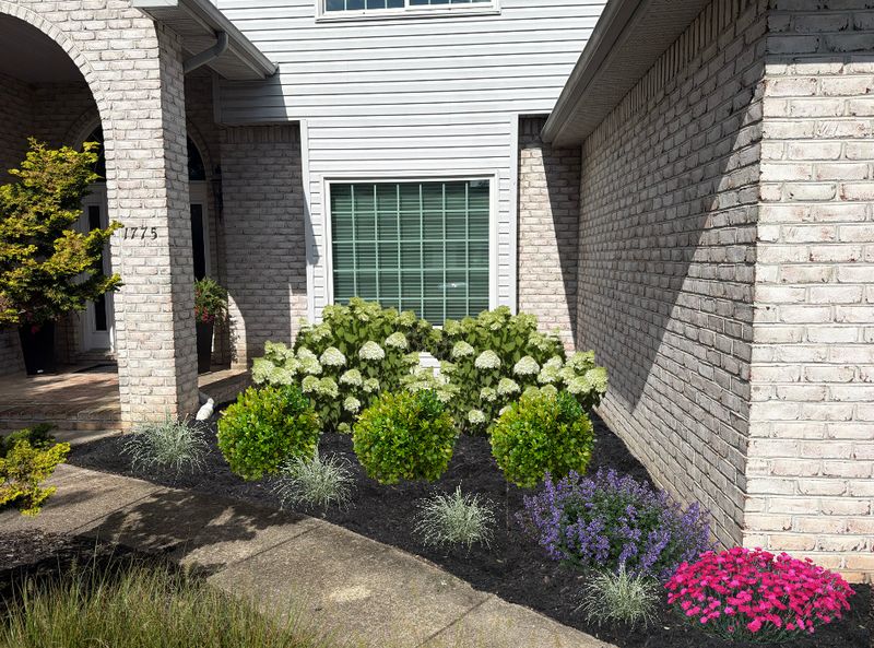 Landscape Design