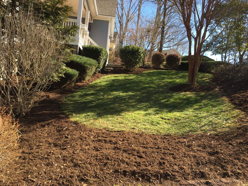 Lawn Care Services