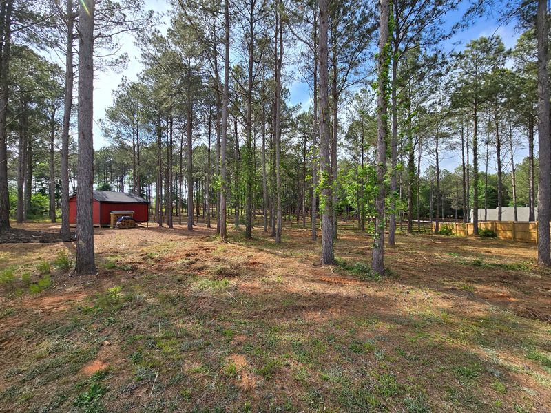 Residential Land Clearing