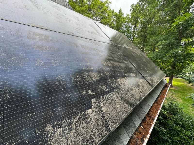 Solar Panel Cleaning