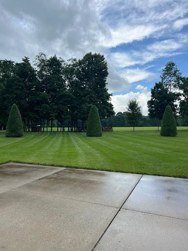 Shrub Trimming