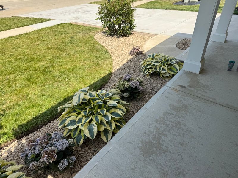 Garden bed Installation