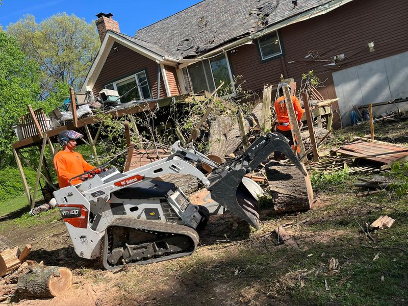 Tree Removal
