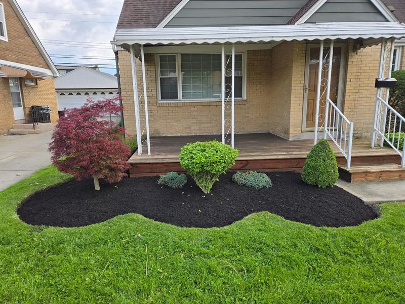 Shrub & Plant Installation Photos