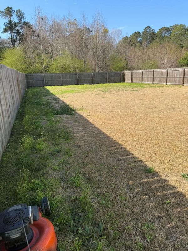 Lawn Maintenance