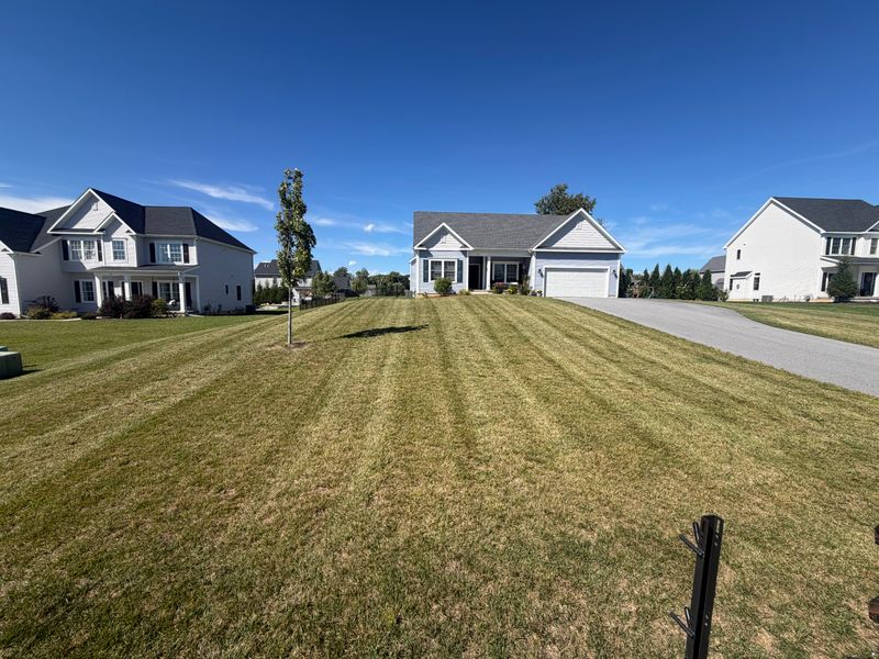 Lawn Care & Maintenance