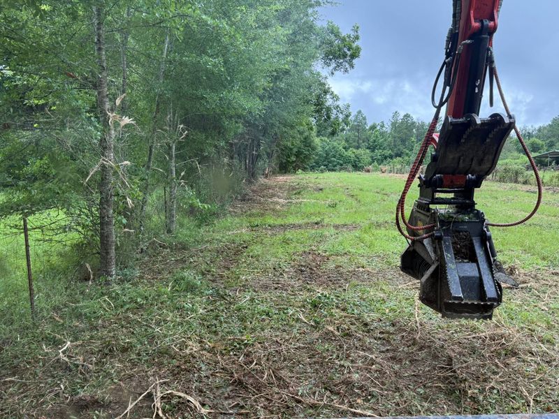 Land Clearing