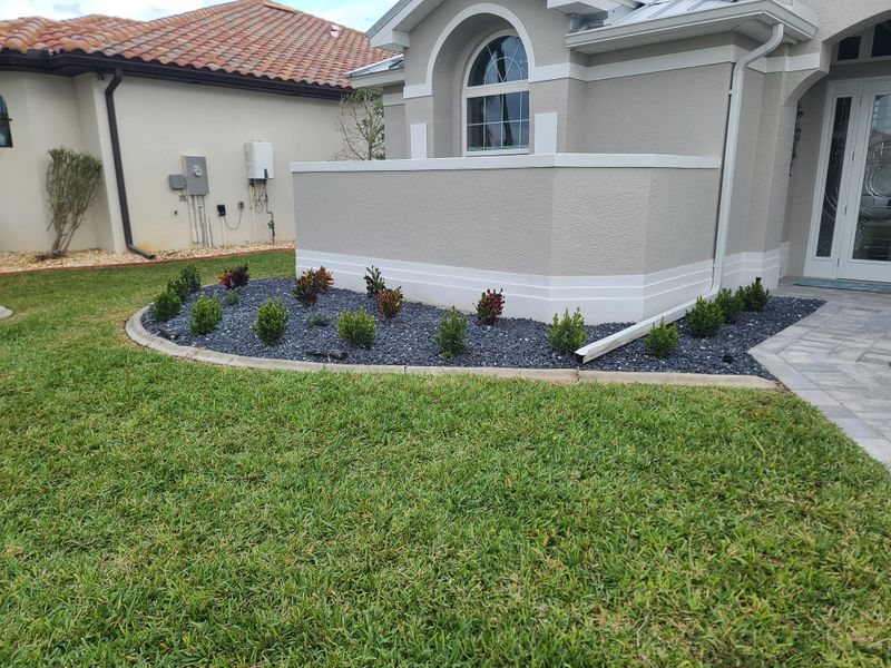 Landscape Design and Installation