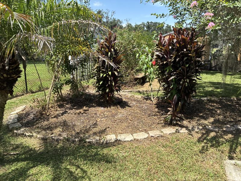 Tree and Hedge Care