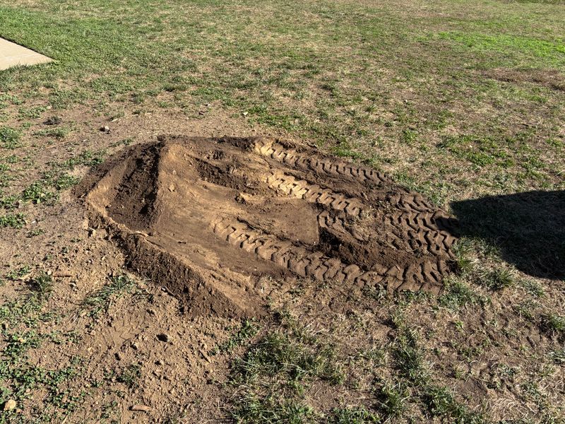 Stump Removal