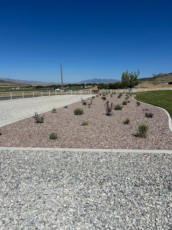 Zeroscaping & Xeriscaping Services
