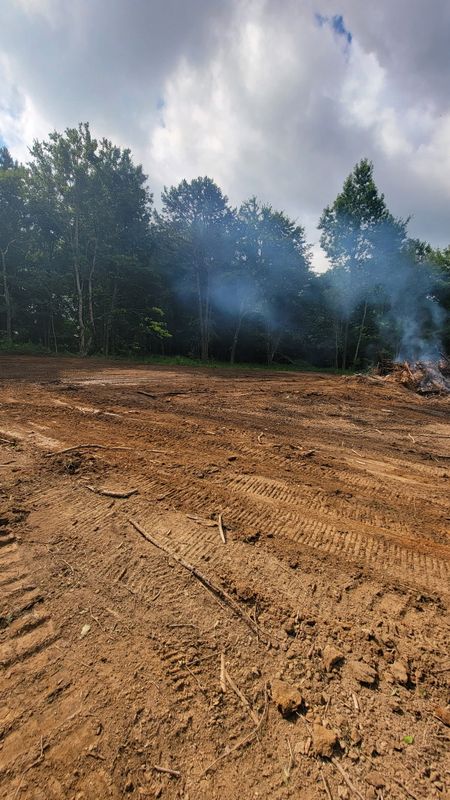 Land Clearing