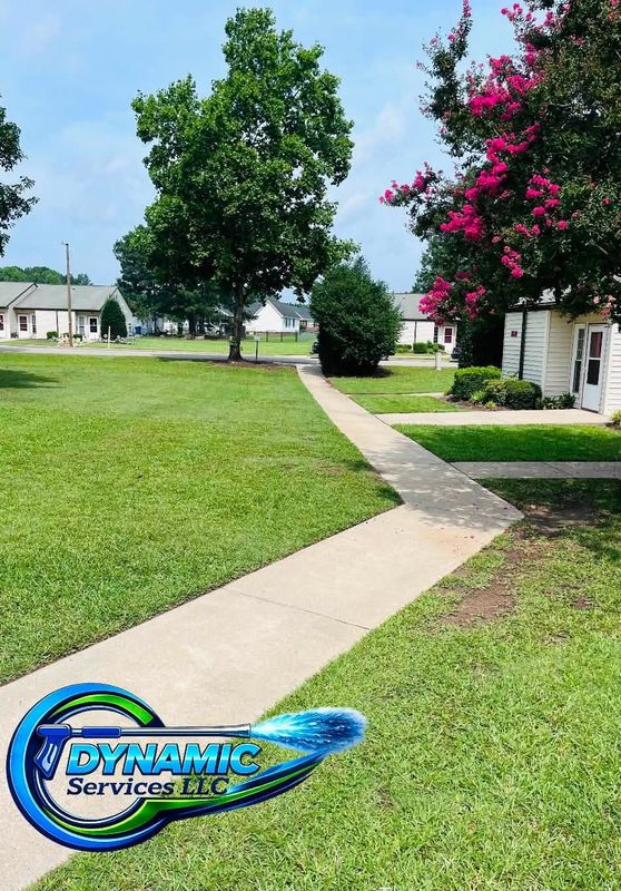 Driveway and Sidewalk Cleaning