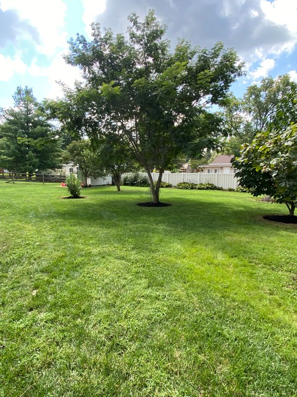 Lawn Mowing