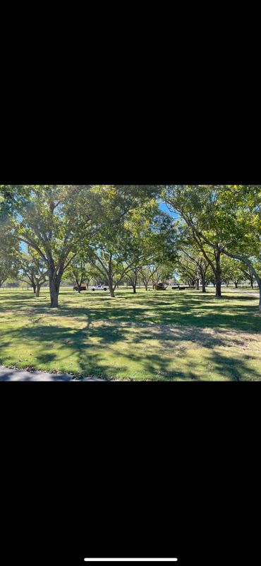 General Earthworks