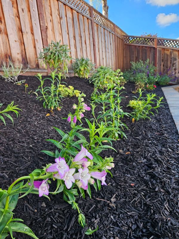 Landscape Design & Construction gallery