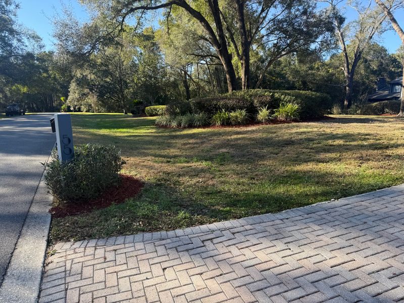 Fall Clean Up