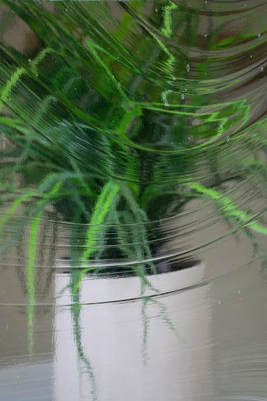 Glass and Wire