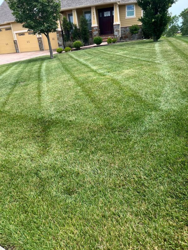 Lawn Maintenance