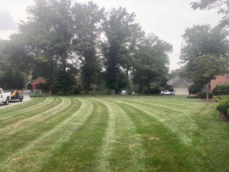 Lawn Maintenance