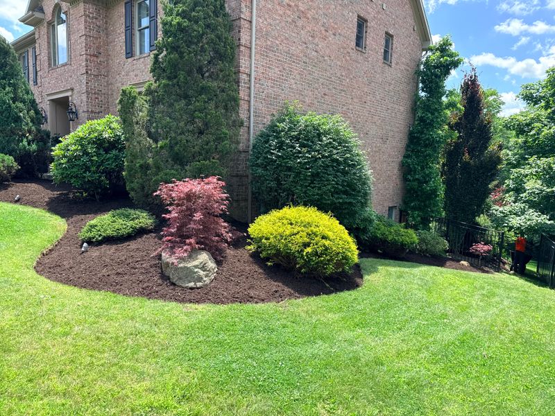 Landscaping