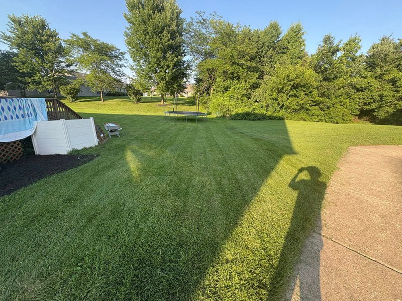 Lawn Maintenance