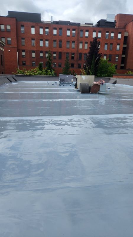 Single - Ply Roofs