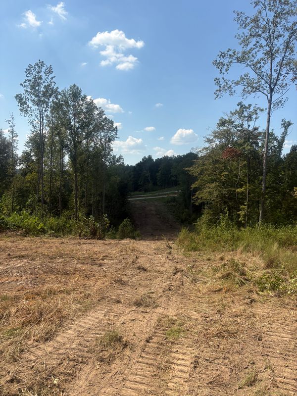 Land Clearing