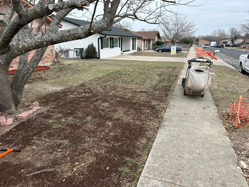Top Dressing