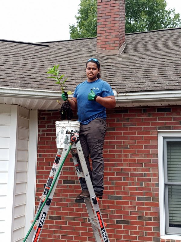 Gutter Cleaning & Leaf Removal