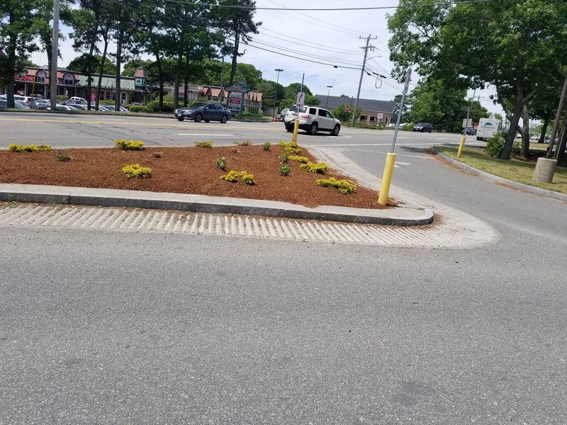 Landscape Design