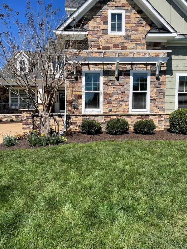 Tree & Shrub Care