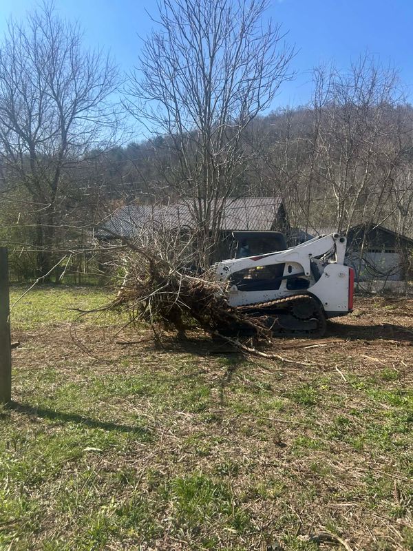 Stump grinding