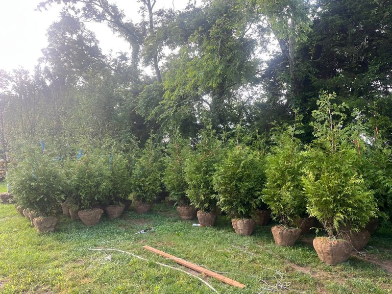Landscaping Berms