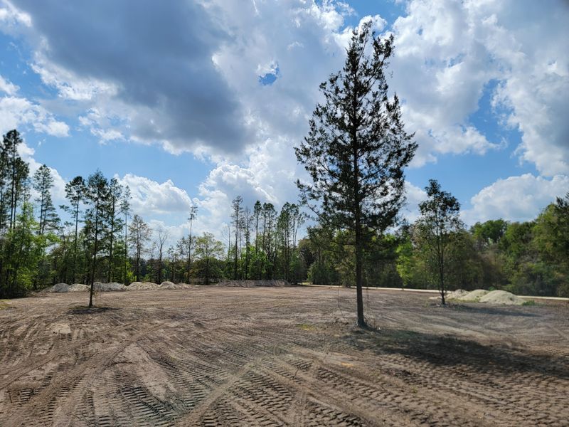 Land Clearing gallery