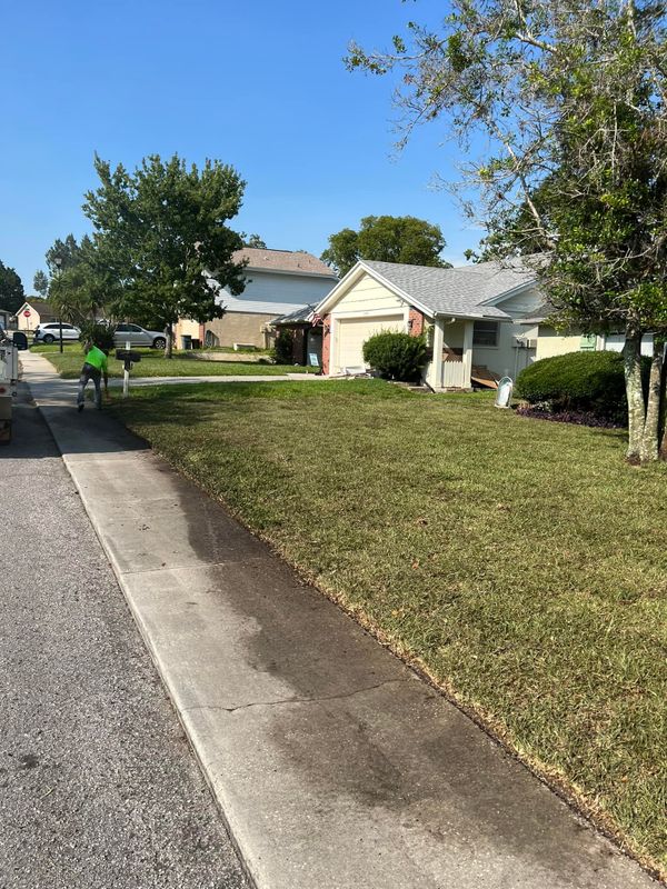 Landscaping