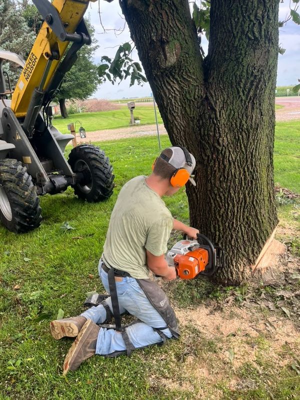 Tree Removal