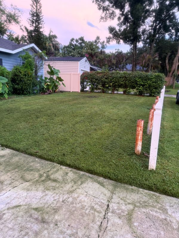 Lawn Maintenance